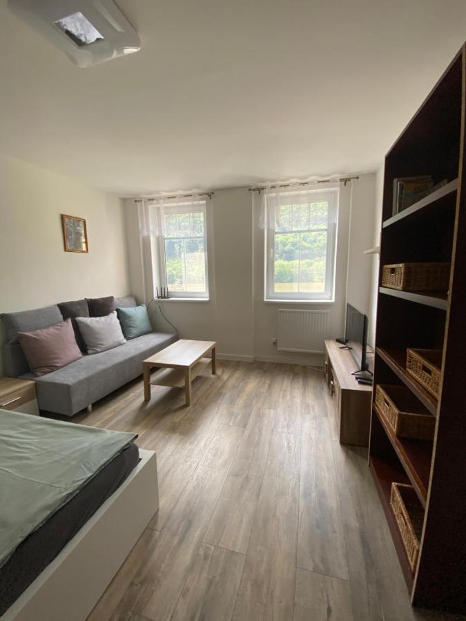 Apartmany U Viaduktu 46 Usti nad Labem Luaran gambar